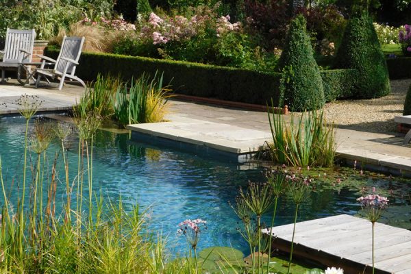 Pure Living Pool with Plants - Woodhouse Natural Pools