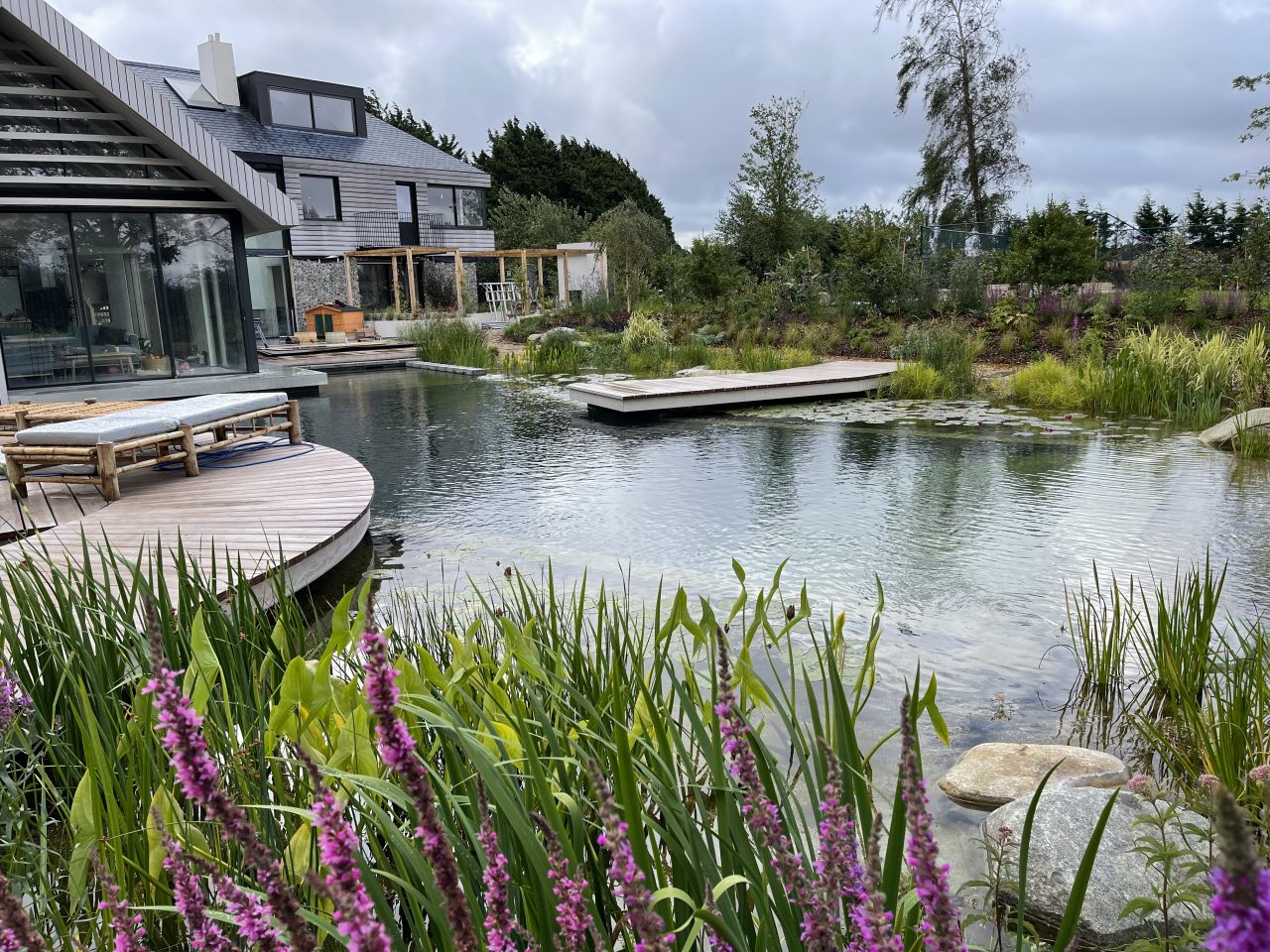 Natural Swimming Pools with Plants UK | No Chemicals | Natural Filtration